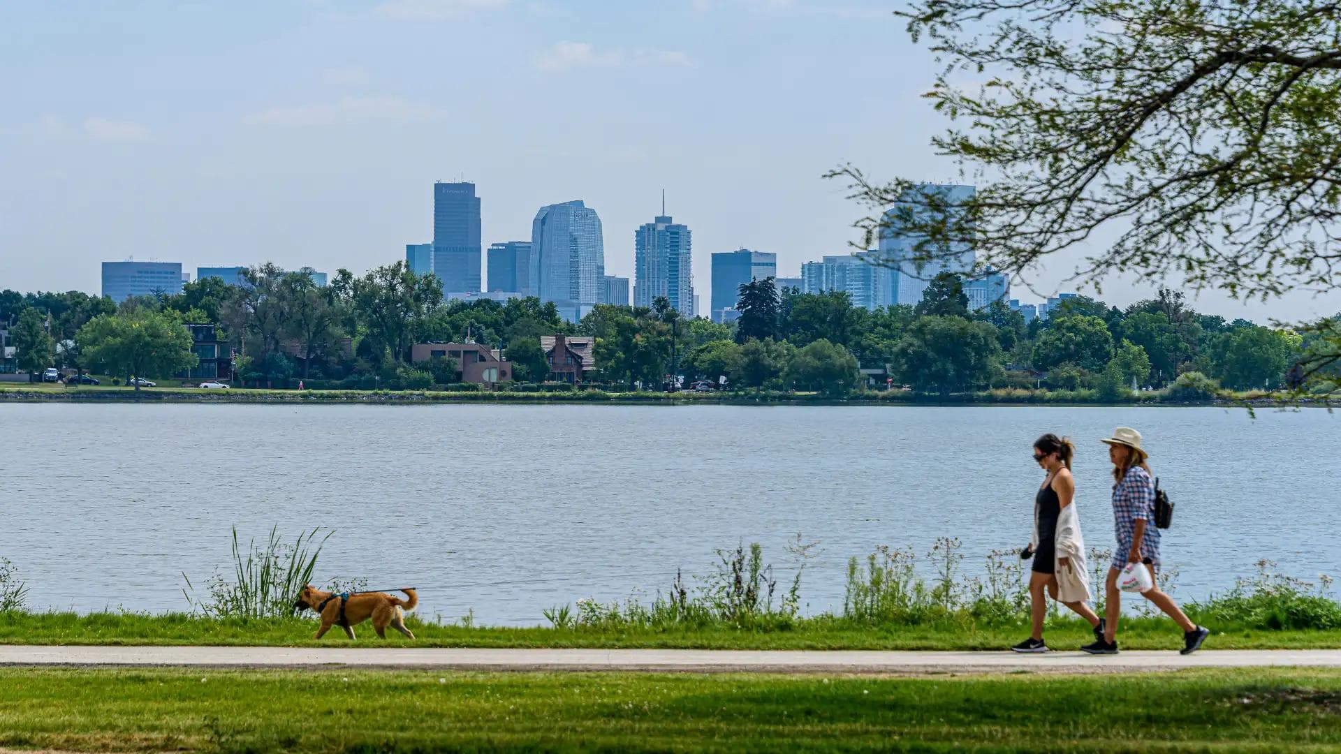 A calm outdoor scene representing feeling better